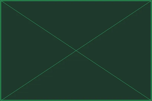 游戏数据报告界面 - pg电子游戏